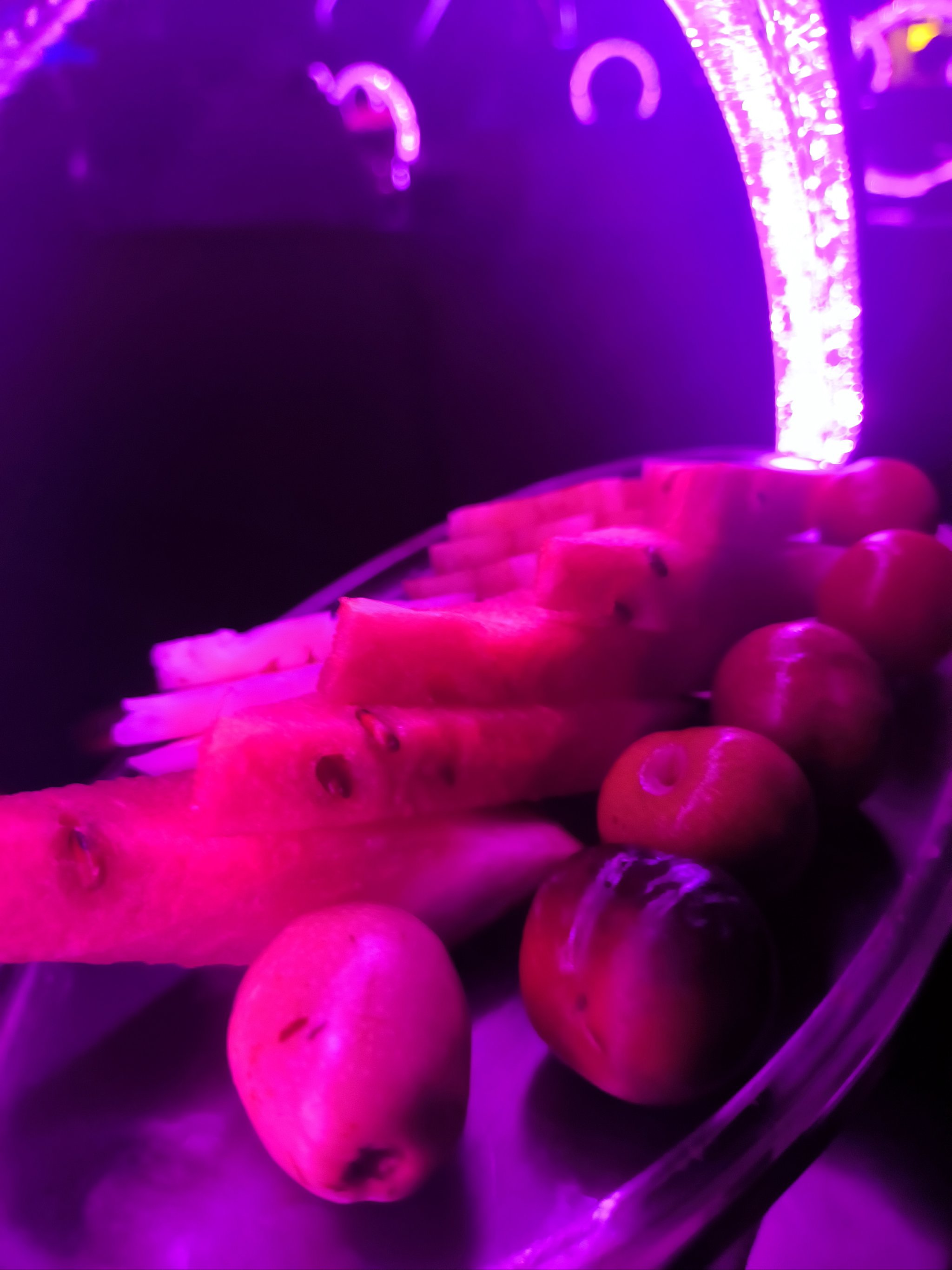 新乡商务ktv商务ktv有没有推荐-长垣县ktv预定